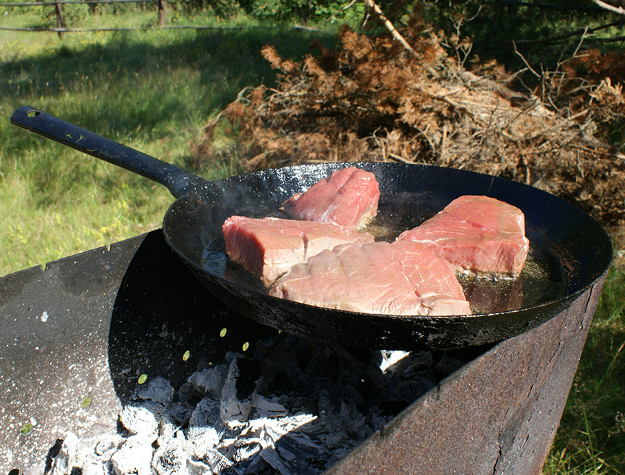 Milline on parim pann?